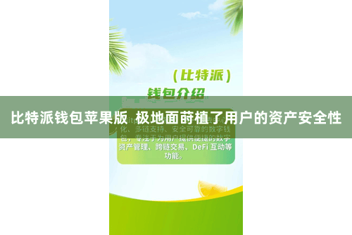 比特派钱包苹果版 极地面莳植了用户的资产安全性