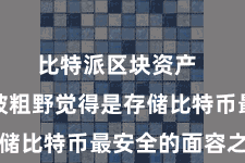 比特派区块资产  冷钱包被粗野觉得是存储比特币最安全的面容之一