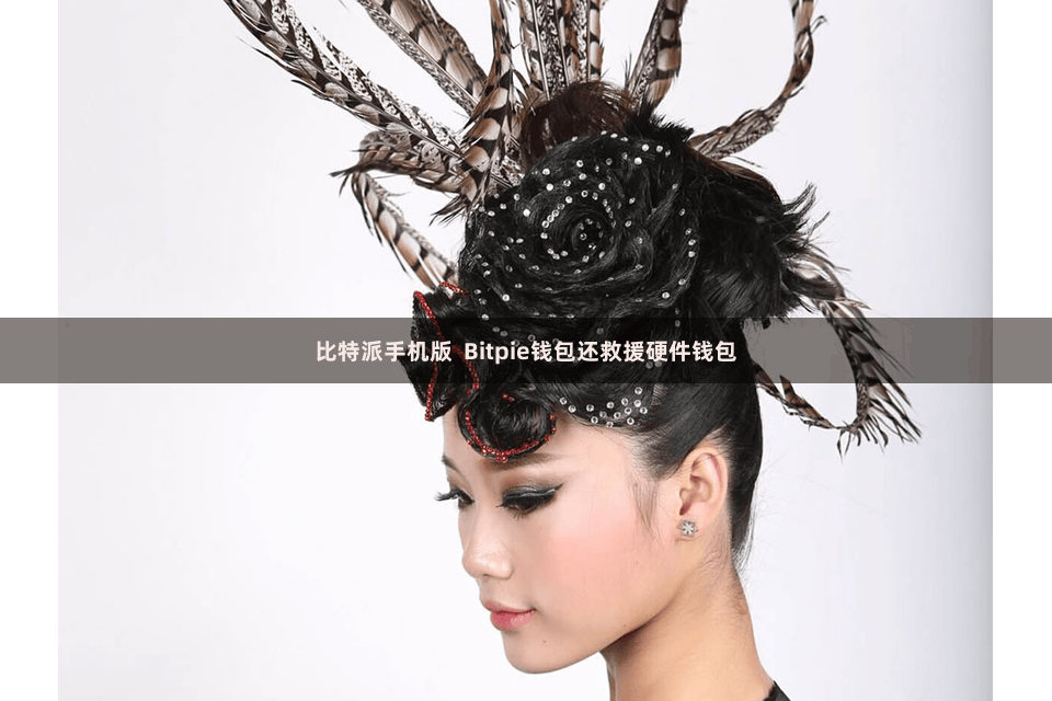 比特派手机版  Bitpie钱包还救援硬件钱包