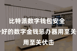 比特派数字钱包安全  一个好的数字金钱惩办器用至关伏击