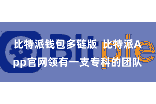 比特派钱包多链版  比特派App官网领有一支专科的团队