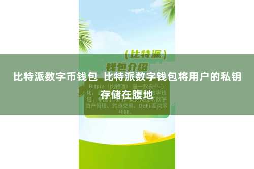 比特派数字币钱包  比特派数字钱包将用户的私钥存储在腹地