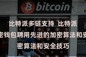 比特派多链支持  比特派多链加密钱包聘用先进的加密算法和安全技巧